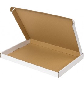 Boîte blanche pour boîtes aux lettres format A4 - 31 x 21,5 x 3cm  ...