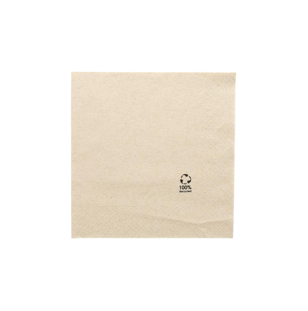 100 Serviettes en papier BIO 33cm Naturel 2 couches 100% recyclées ...