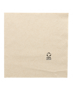 100 x 100% Gerecyclede BIO Tissue servet 33cm 2 laags Natuur  - Home
