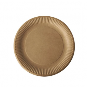 100 Kleine Kartonnen bordjes bruin Nature Kraft karton 15cm
