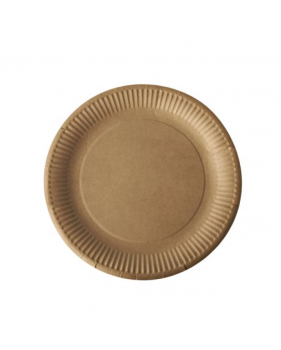 100 Kleine Kartonnen bordjes bruin Nature Kraft karton 15cm