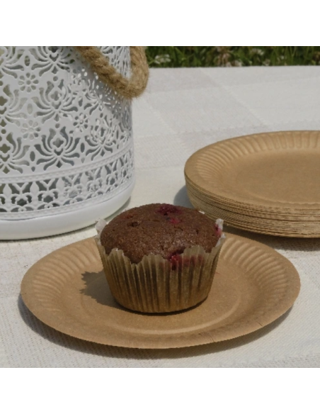 100 petites assiettes en carton brun biodégradables 15cm