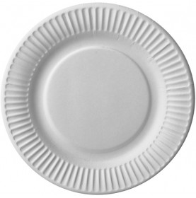 100 x kartonnen borden Kraft wit karton 23cm /Wegwerp servies - Fee...