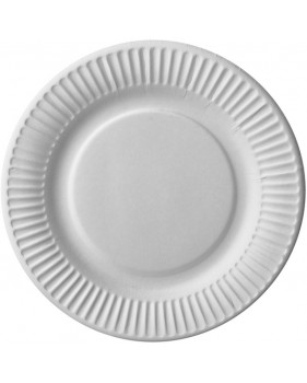 100 x assiettes 23cm en carton blanc éco  - Accueil