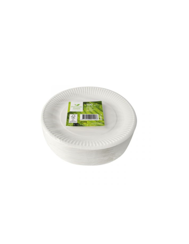 50 Kleine Kartonnen bordjes wit Kraft karton 15cm