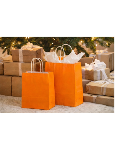 Sacs cadeaux en papier kraft orange avec poignées torsadées 22x10x28 cm