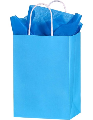 Blauw kraft papieren draagtassen met gedraaide handvatten – 22x10x28 cm