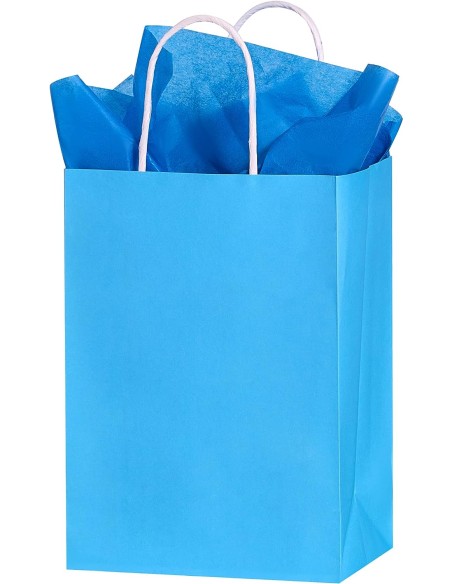 Blauw kraft papieren draagtassen met gedraaide handvatten – 22x10x28 cm