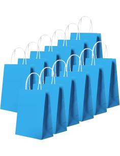 Sacs cadeaux en papier kraft bleu avec poignées torsadées 22x10x28 cm 2