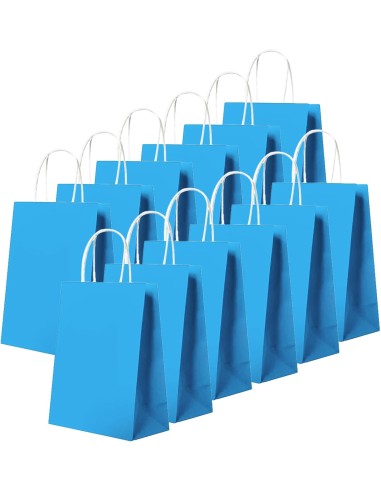 Blauw kraft papieren draagtassen met gedraaide handvatten – 22x10x28 cm