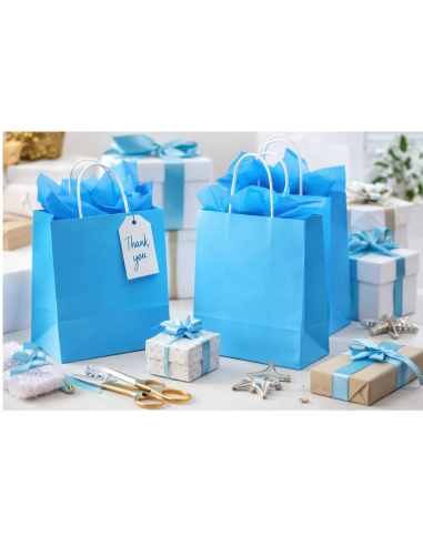 Blauw kraft papieren draagtassen met gedraaide handvatten – 22x10x28 cm