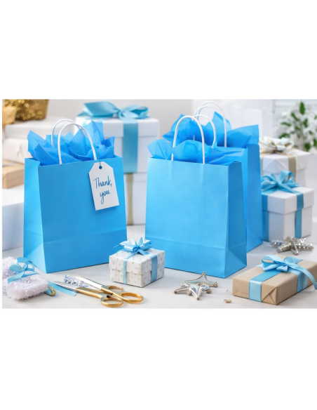 Sacs cadeaux en papier kraft bleu avec poignées torsadées 22x10x28 cm