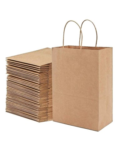 Bruine kraft papieren zakken met gedraaide handvatten 22x10x28 cm – ecologische winkelzak