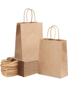 Bruine kraft papieren zakken met gedraaide handvatten 22x10x28 cm – ecologische winkelzak 2