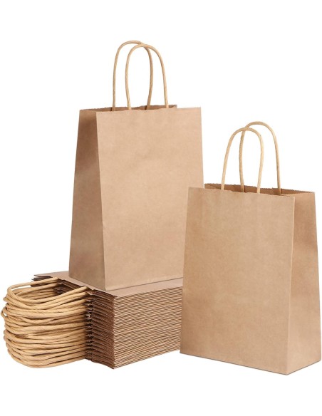 Bruine kraft papieren zakken met gedraaide handvatten 22x10x28 cm – ecologische winkelzak