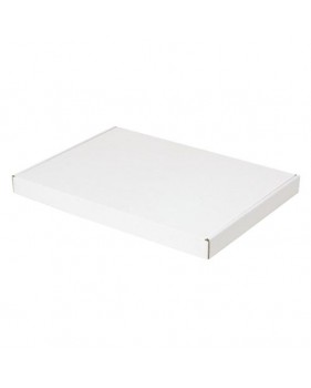 Boîte blanche pour boîtes aux lettres format A5 - 22 x 15 x 3 cm  -...