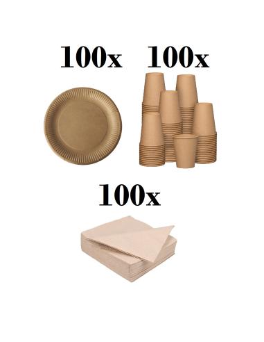 Bruin kraft wegwerpservies set: 100 borden, bekers en servetten