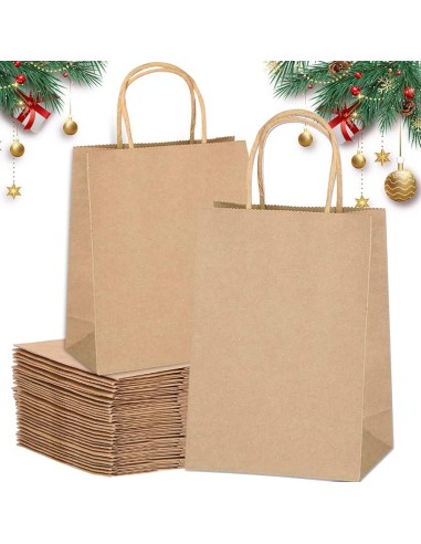twee bruine papieren draagtassen in kraft in verschillende formaten, kerstdecor