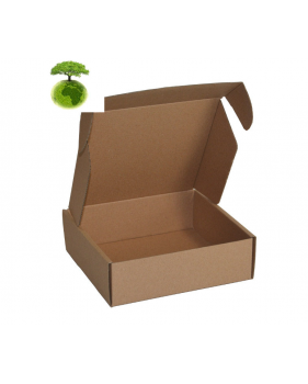 Ecologische Bruine postdozen/ verzenddozen 26x19x6cm  - Home