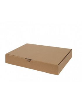 Ecologische Postdozen/ Verzenddozen formaat format A5 24x16x4,5cm  ...